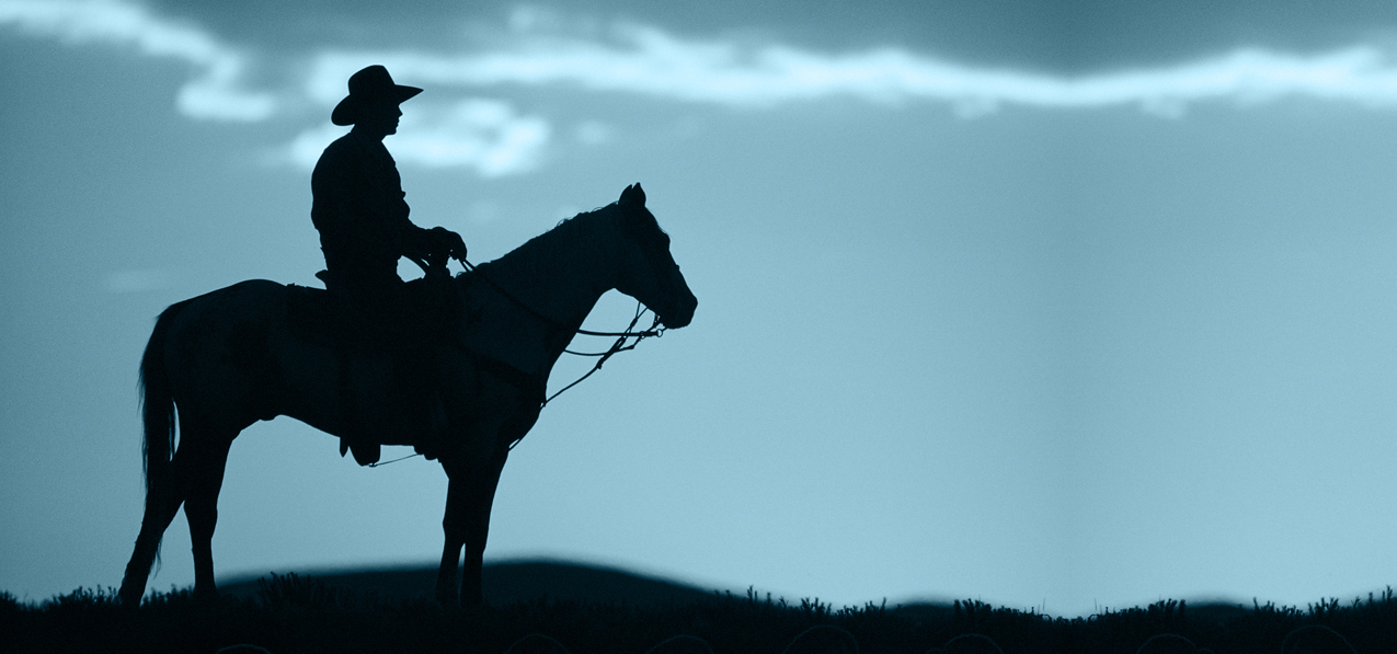 HP-AG-360-BL Cowboy Blue